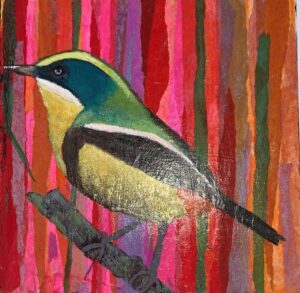 PÁJARO SIETE COLORES
